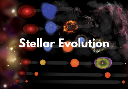 Stellar Evolution