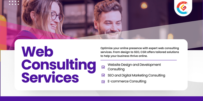 Web Consulting Services