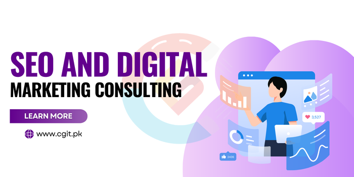 Web Consulting Services